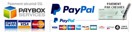 3-logo-paybox-paypal-paiem-ch-450x110-28nov2016