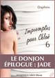 LE DONJON, ÉPILOGUE : JADE De  Daphnis - Dominique Leroy