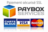 1-paybox-services164x110