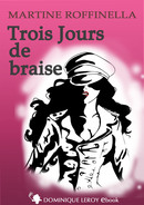 TROIS JOURS DE BRAISE De Martine Roffinella et  Jahyra - Dominique Leroy